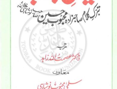 Dewan e Mehboob PDF Sahabzada Mehboob Hussain Noshai  دیوان محبوب شاعر صاحبزادہ محبوب حسین نوشاہی