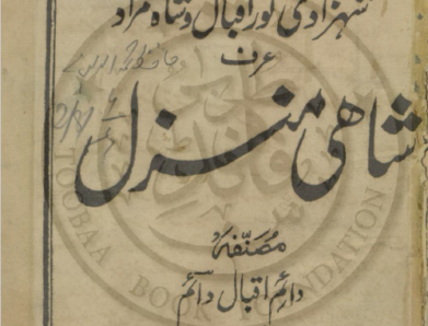 شہزادی نور اقبال و شاہ مراد عرف شاہی منزل ،دائم اقبال دائم