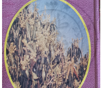 سجرے بور شاعر راجہ عبد الوحید قاسم