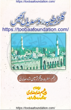 Gulzar-e-Taiba/Wasdiaan /گلزار طیبہ/وسدیاں اکھیں