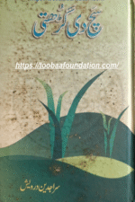 Punjabi Pothwari Books PDF حق سچ دی گڑھتی