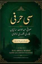 Si Harfi book cover | سی حرفی کتاب کا سرورق