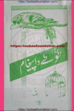 Totay da Paighaam Poṭhohari Shaa’ir: Haif Hanfi