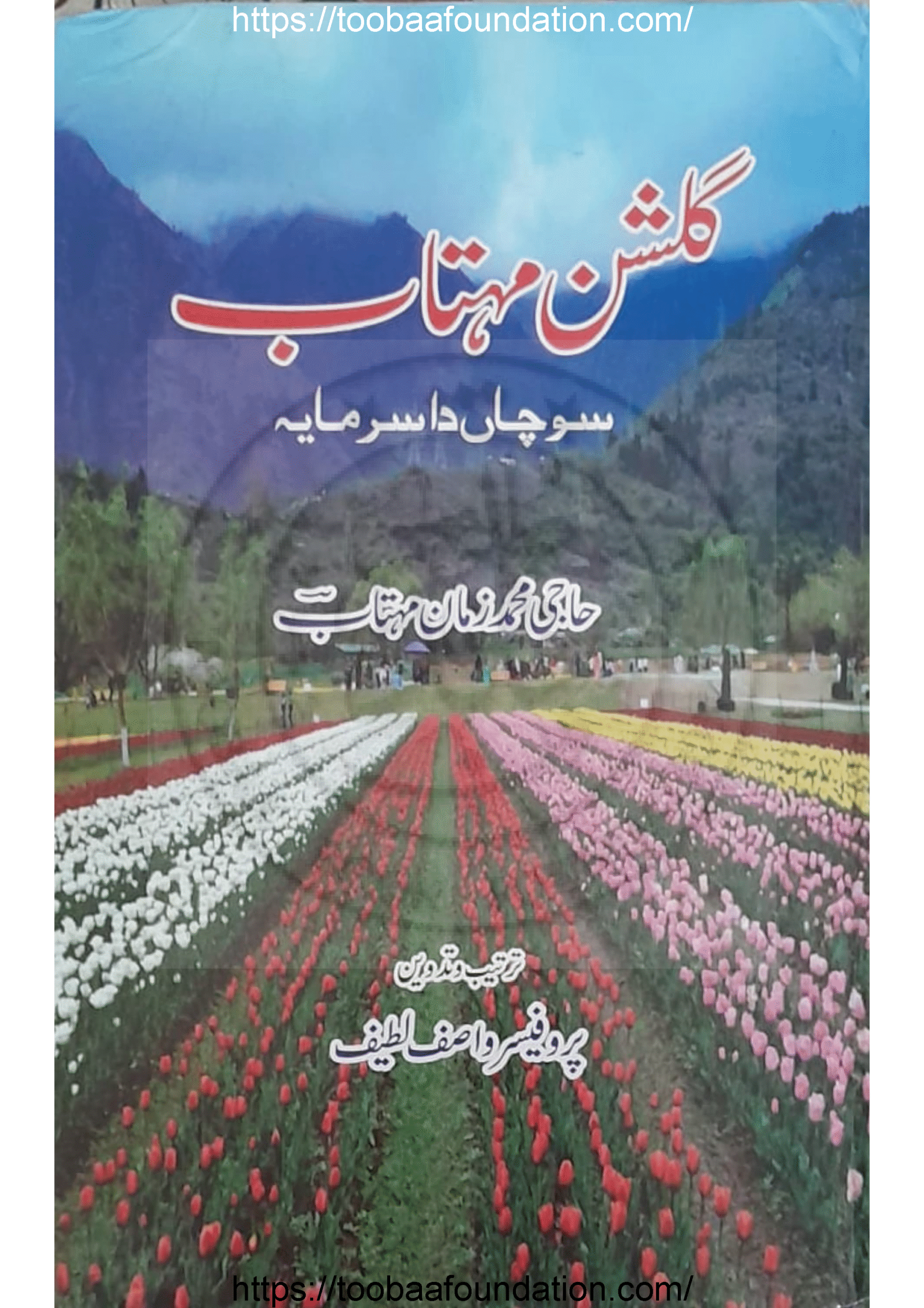 Gulshan-e-Mehtab:Sochaan Da Sarmayaگلشن مہتاب:سوچاں دا سرمایہ