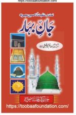 Jaan Bahaar | جان بہار