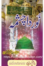 Noor Da Chashma | نور دا چشمہ