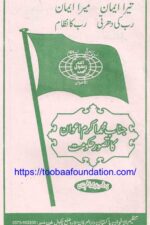 Janab Muhammad Akram Awan ka Tasawwur-e-Hukoomat | جناب محمد اکرم اعوان کا تصورِ حکومت