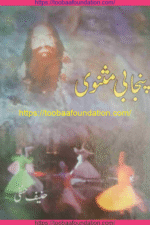 Punjabi Masnavi | پنجابی مثنوی