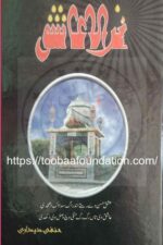 Nirala Aashiq | نرالا عاشق