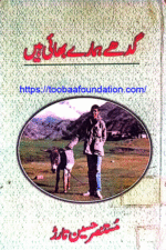 Gadhay Hamare Bhai Hain | گدھے ہمارے بھائی ہیں — Mustansar Hussain Tarar | مستنصر حسین تارڑ