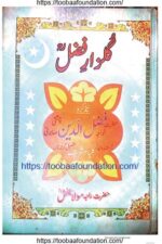 Gulzar-e-Fazl | گلزارِ فضل،حضرت راجہ مولا بخش