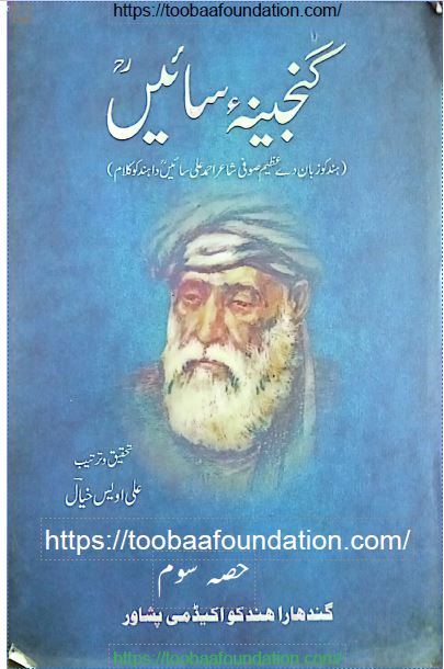 Ganjina Saeen (Hissa Soom) | گنجینہ سائیں (حصہ سو م)، علی اویس