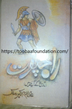 Rajput (Tareekh ke Aaine Mein) | راجپوت (تاریخ کے آئینے میں)، غلام اکبر ملک