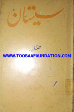 Seistan Part I & II book cover | سیستان حصہ اول و دوم کتاب کا سرورق