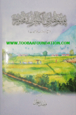 Potohari Akhanr te Mahaware book cover | پوٹھوہاری اکھانڑ تے محاورے کتاب کا سرورق