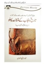 Tareekh-e-Punjab Kay Mutanazia Pehlu | تاریخِ پنجاب کے متنازع پہلو — Makhdoom Tipu Sultan