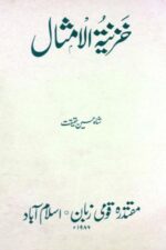 Khazinat-ul-Amsal | خزینۃ الامثال — Shah Hussain Haqiqat