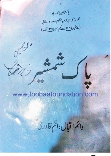 Pak Shamsheer | پاک شمشیر — Daim Iqbal Daim