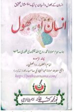 Insan aur Bhool — Maulana Muhammad Roohullah Naqshbandi Ghafuri