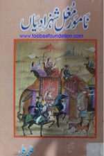 Namoor Mughal Shehzadiyan — Talha Ali